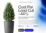 manage and optimize your google ads PPC campaigns